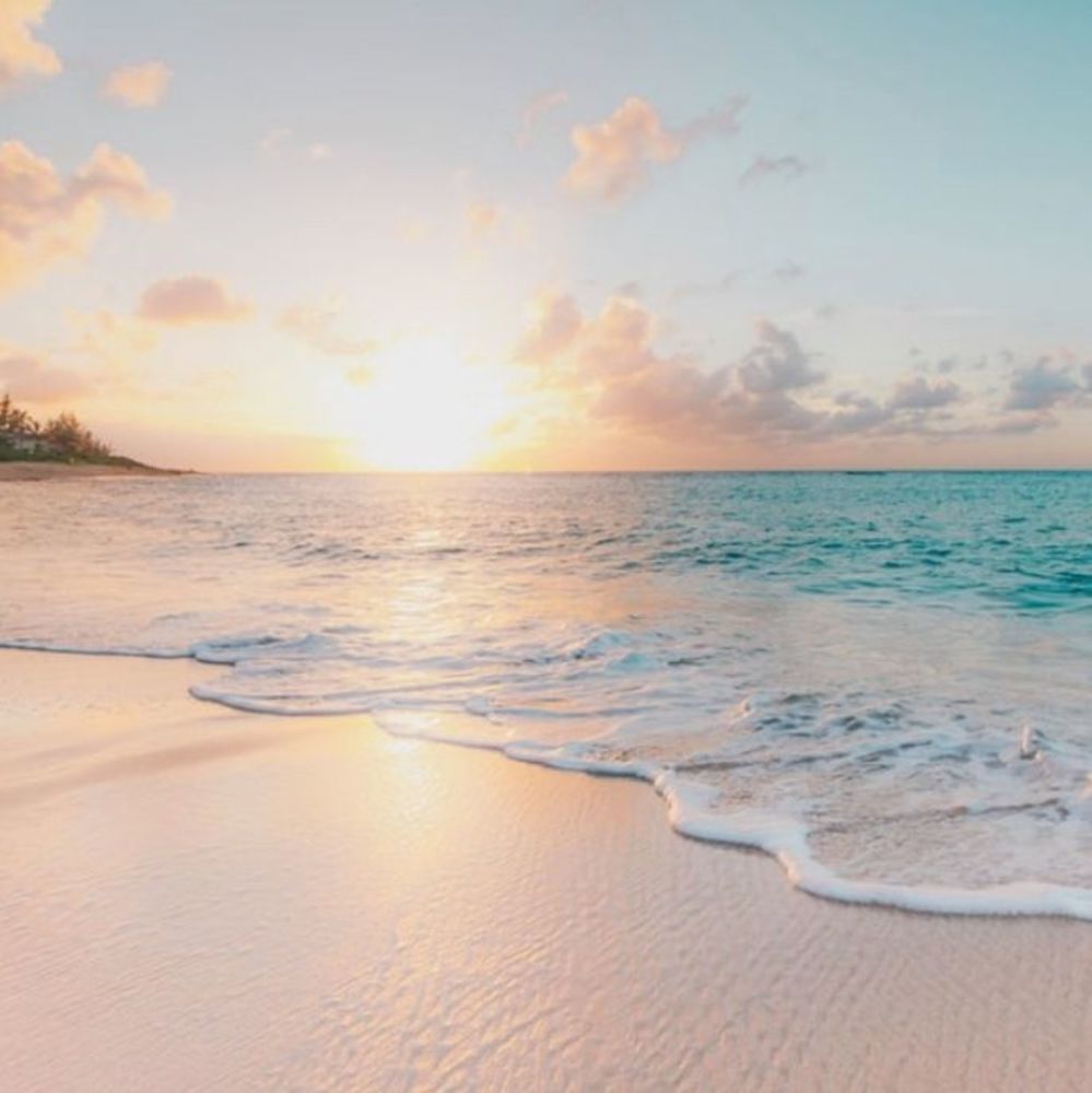 Meet your Posher, Jacquelyn